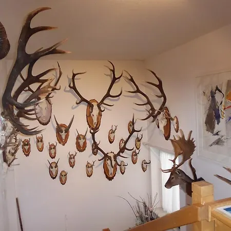 Bella Mira Διαμέρισμα Samnaun